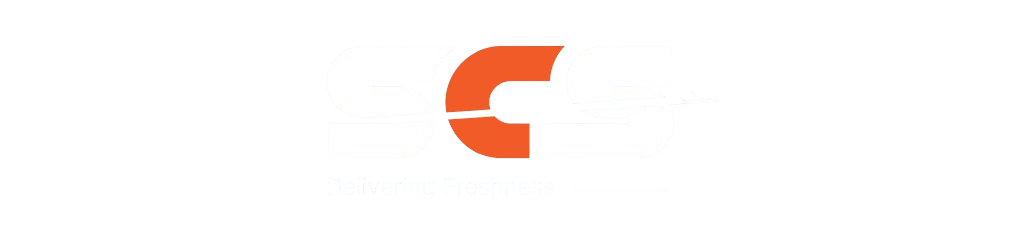 New_Project_-_2025-09-08T021500.406-removebg-preview